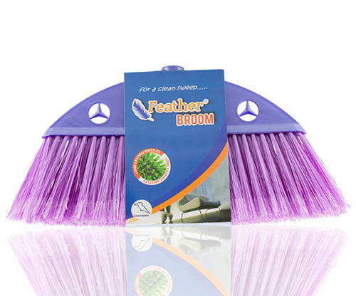 feather, Purple Kingfisher broom